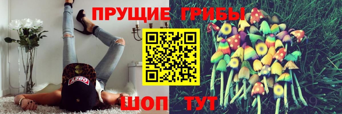 Псилоцибиновые грибы GOLDEN TEACHER Энгельс
